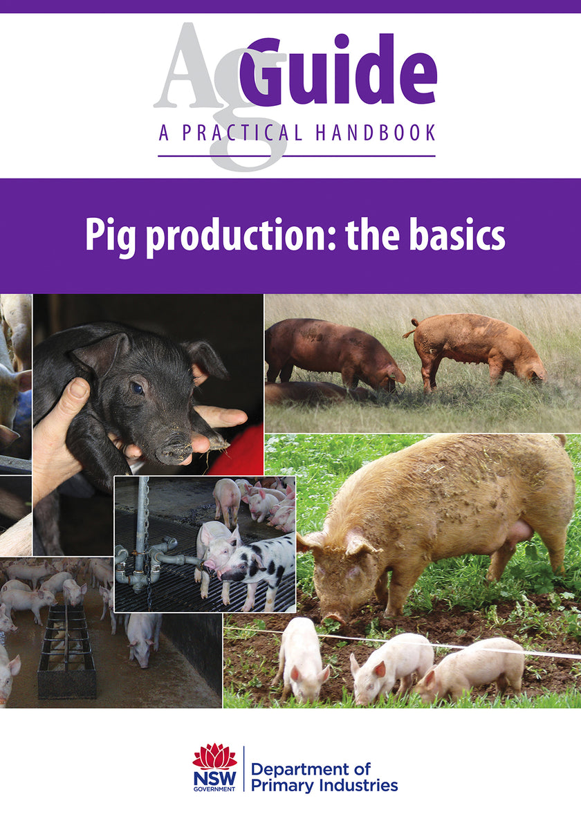 Pig Production - The Basics AgGuide – Regional NSW