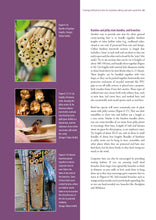 Load image into Gallery viewer, Australian native bees | AgGuide
