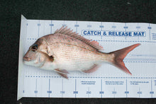 Load image into Gallery viewer, Catch and Release mat (5 pack)
