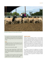 Load image into Gallery viewer, Preparing for drought - what the farmers say
