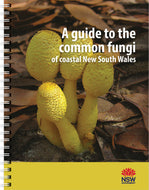 A guide to the common fungi of coastal NSW