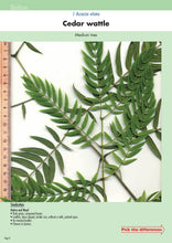Load image into Gallery viewer, Native Plant or Weed - Volume 2
