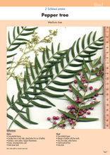 Load image into Gallery viewer, Native Plant or Weed - Volume 2
