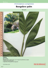 Load image into Gallery viewer, Native Plant or Weed - Volume 2

