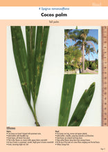 Load image into Gallery viewer, Native Plant or Weed - Volume 2
