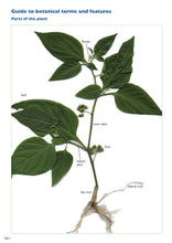 Load image into Gallery viewer, Native Plant or Weed - Volume 2
