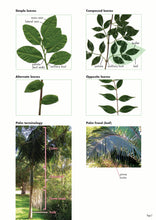 Load image into Gallery viewer, Native Plant or Weed - Volume 2
