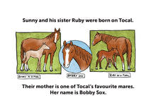 Load image into Gallery viewer, Sunny and Ruby
