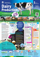 Dairy production classroom poster