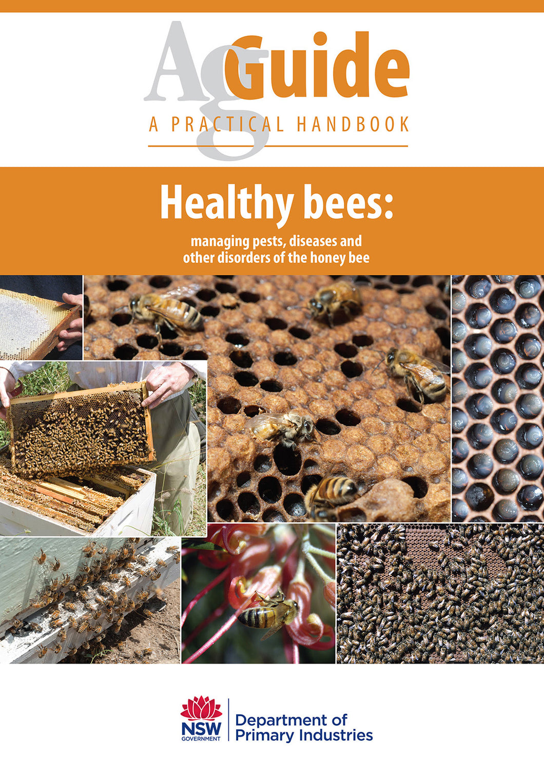 AG Healthy Bees bookcover
