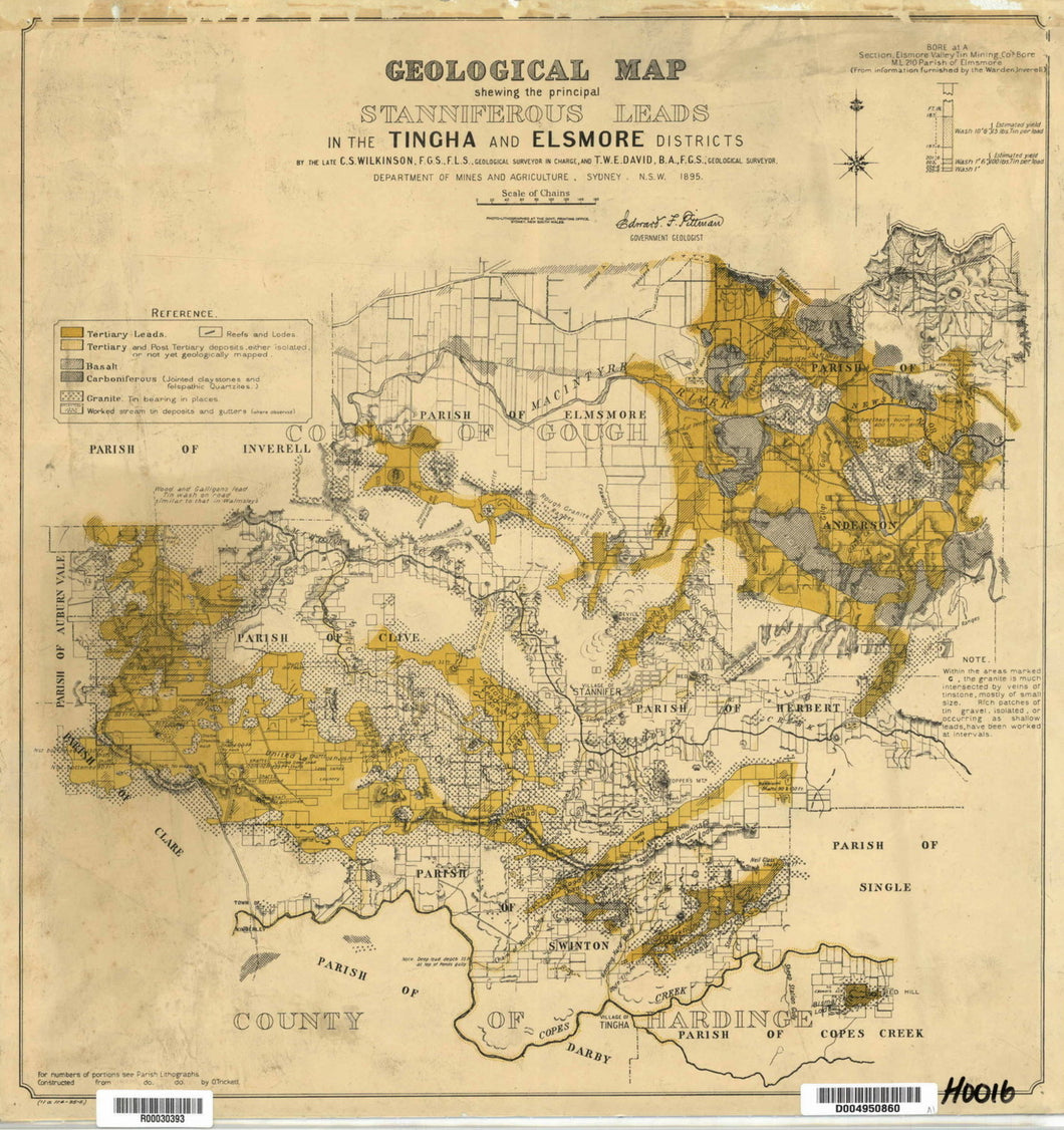 Image of Geological Map of Stanniferous Leads   1895  map