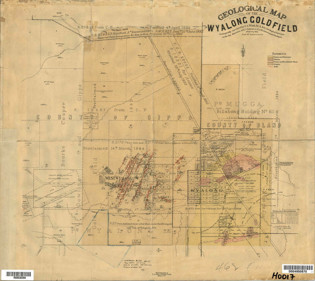 Image of Geological Map of Wyalong Gold Field   1899  map