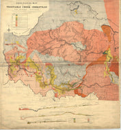 Image of Geological Map of Vegetable Creek, Tin Mining District   1910  map