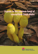 Fungi of coastal NSW bookcover
