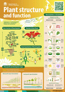 Plant structure and function classroom poster