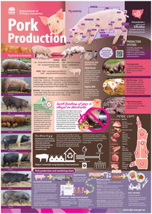 Pork production classroom poster