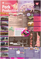 Pork production classroom poster