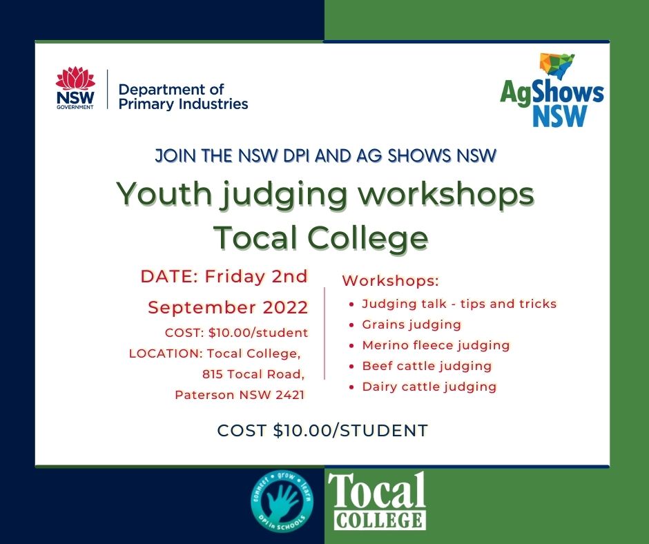 Youth judging workshop